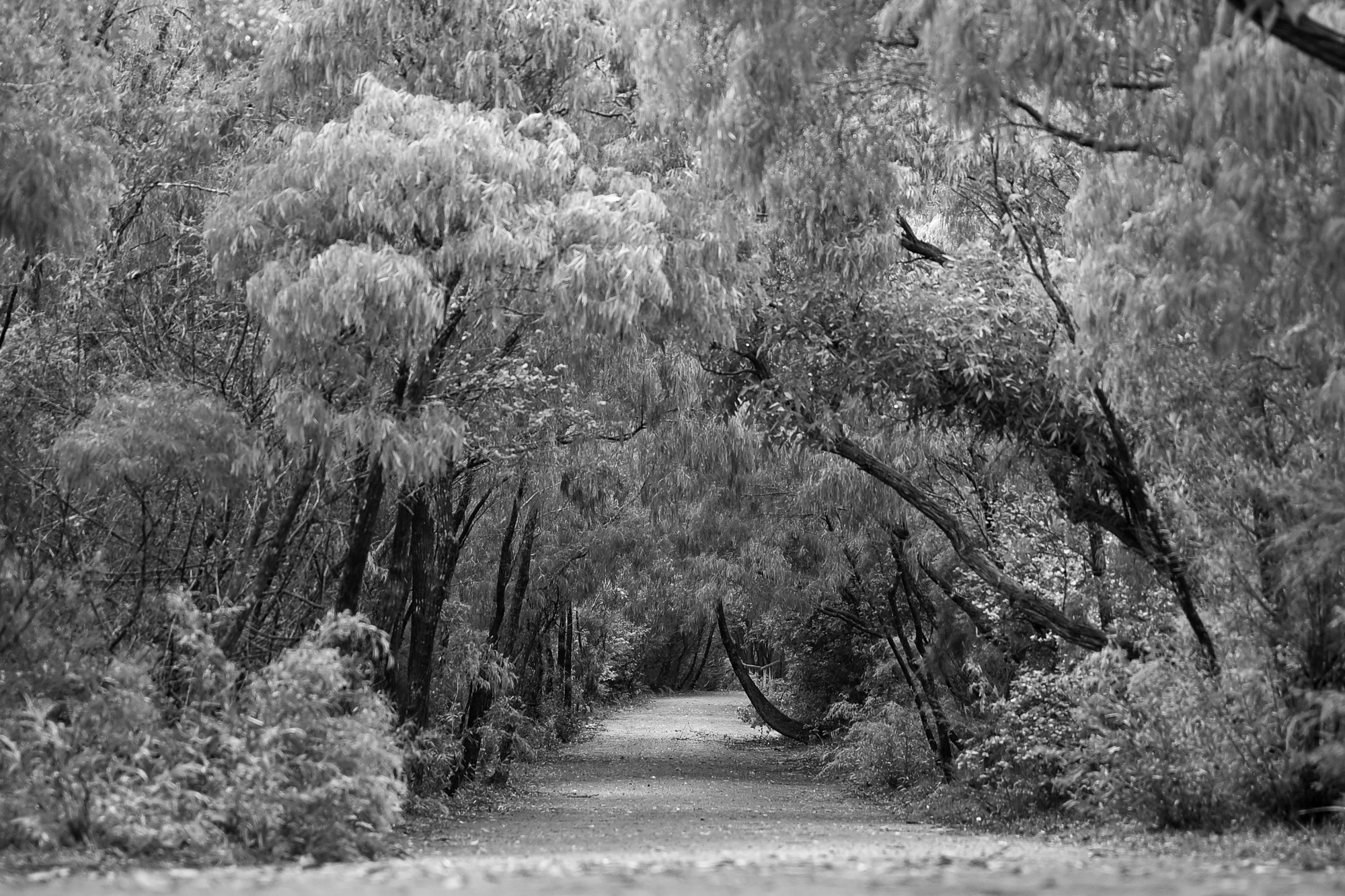 未成之境|
A Life We Didn’t Plan in Walpole