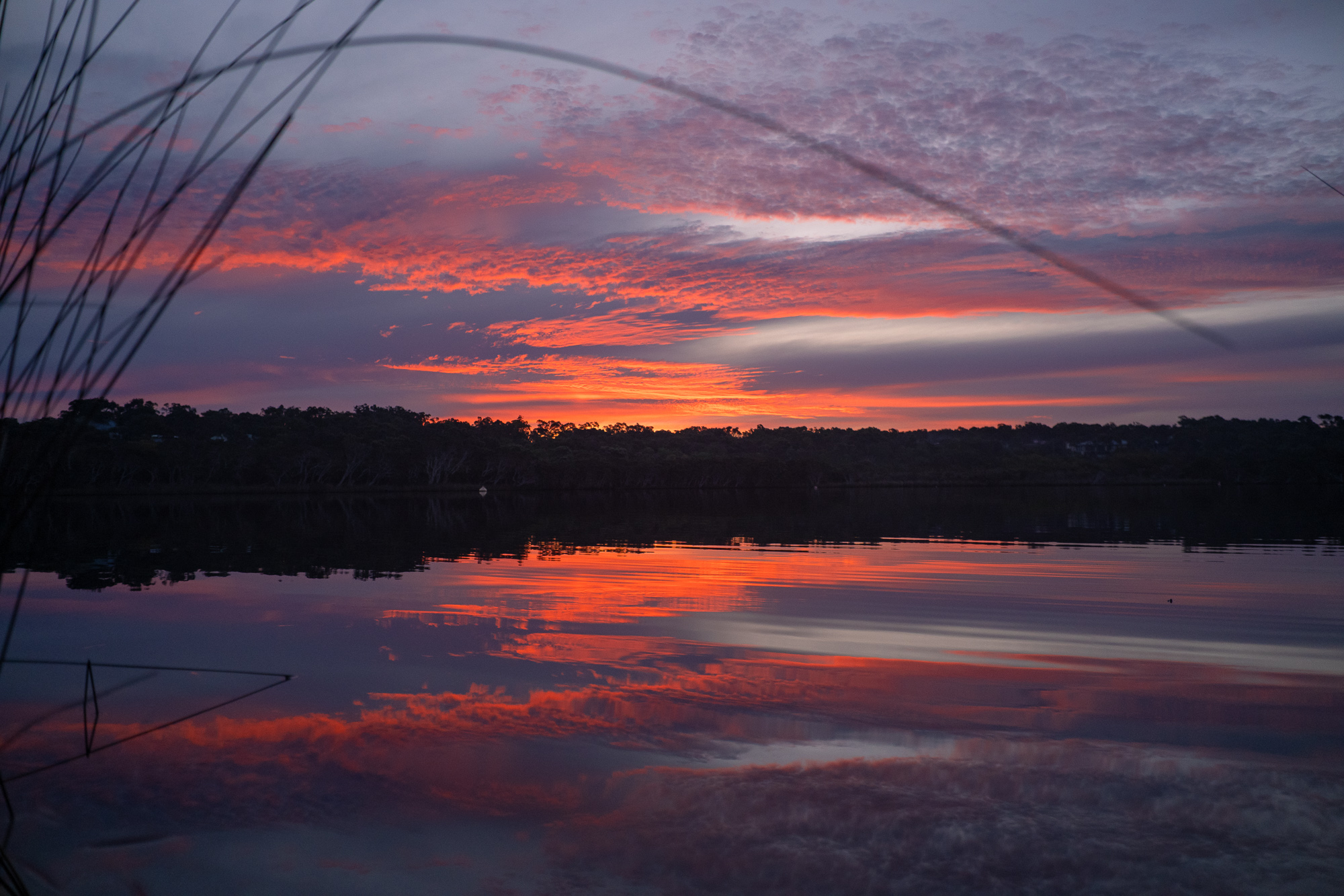 日落時分|When the Sky Caught Fire Over Walpole Inlet